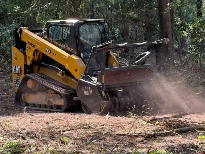 Brush Clearing in Statesboro, GA