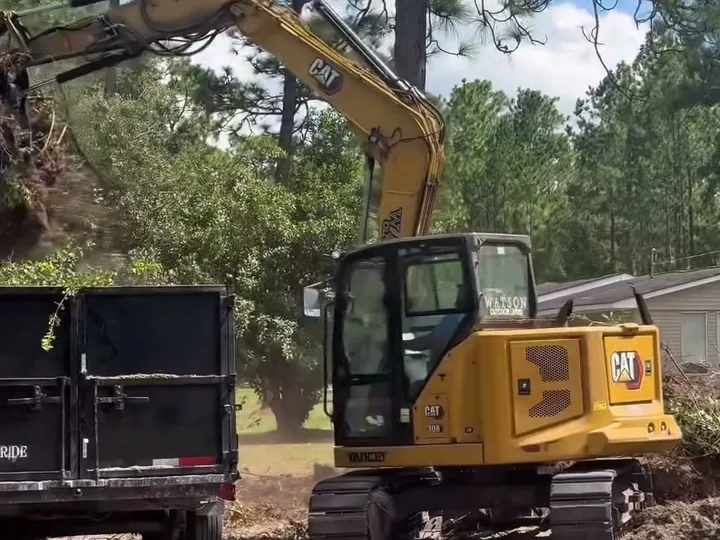 Bush and Shrub Removal in Statesboro, GA