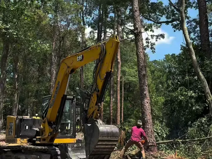 Excavator and sawyer working a stump together