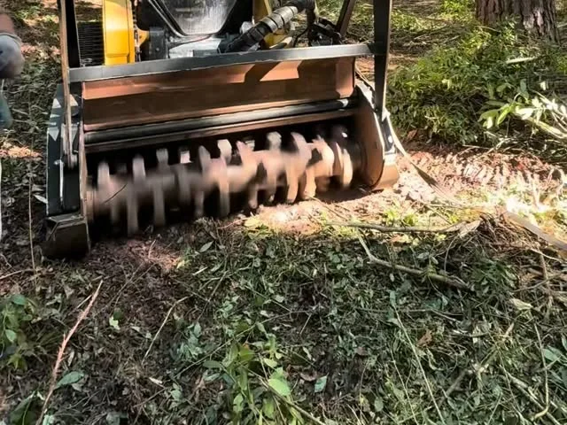 CAT 265 with forestry mulcher head working underbrush near Statesboro GA