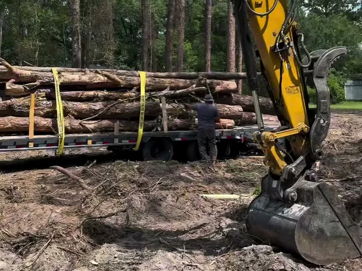 Log truck loaded with pine logs leaving a clearing job