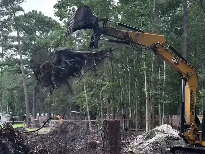 Stump Removal in Statesboro, GA