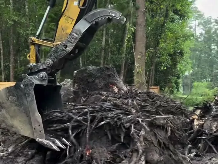 Excavator bucket and thumb clamped on a dug-out root mass