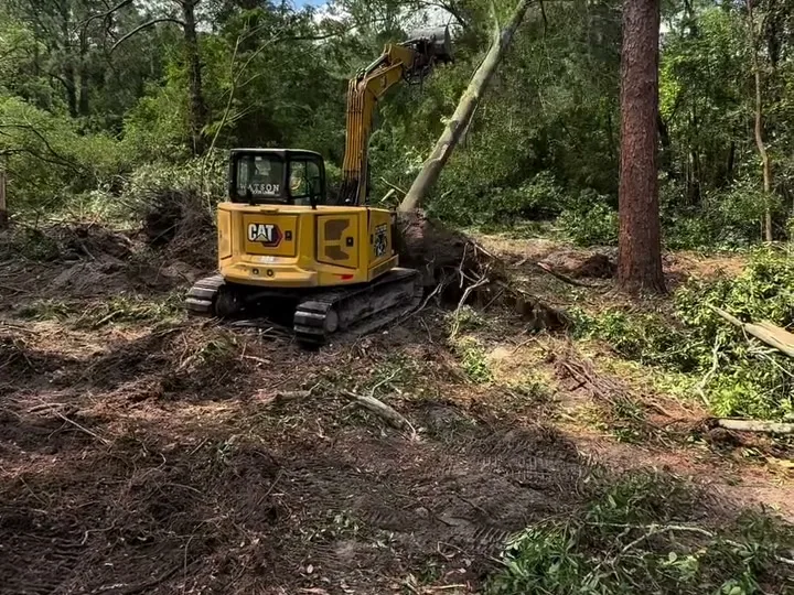 CAT 308 excavator pushing a tree over in the woods