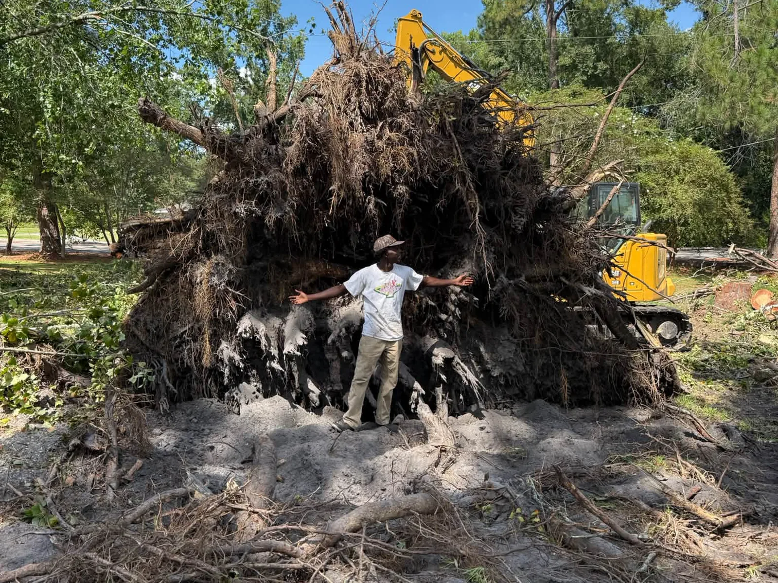 Whole root plate tipped out of the ground with a crew member in front and the CAT 308 behind