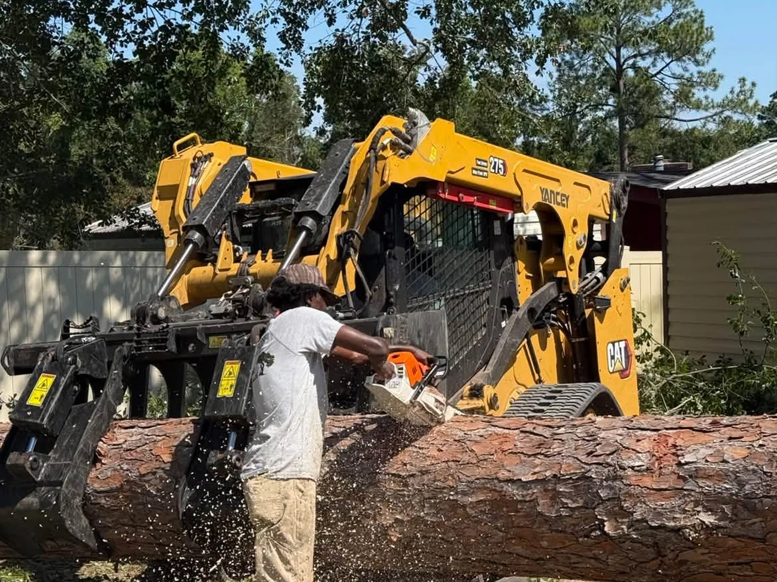 Sawyer cutting a pine log beside the CAT 275 track loader and root rake grapple